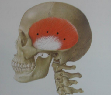 Yaksuyeok Dental Clinic, Temporomandibular Joint Disorders (Botox Treatment) 사진 5